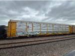 TTGX 965535